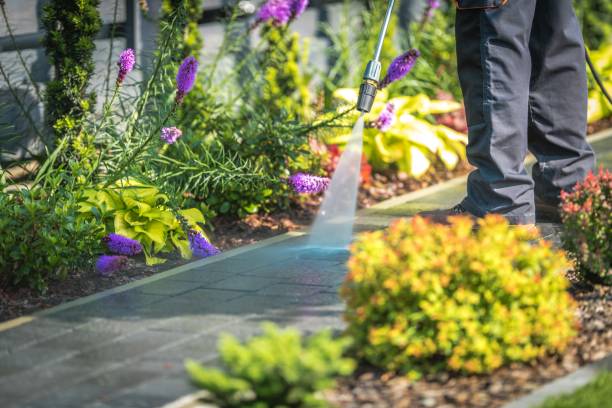 Best House Exterior Washing  in Loomis, CA