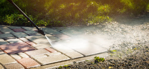 Best Animal Enclosure Cleaning  in Loomis, CA